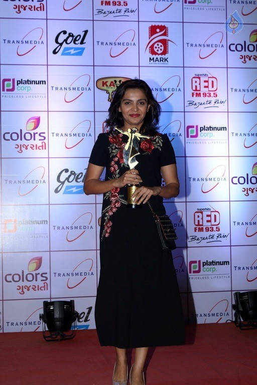 16th Transmedia Gujarati Screen and Stage Awards - 20 / 38 photos