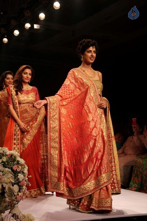 Beti Show by Gitanjali at IIJW 2015 - 11 / 96 photos