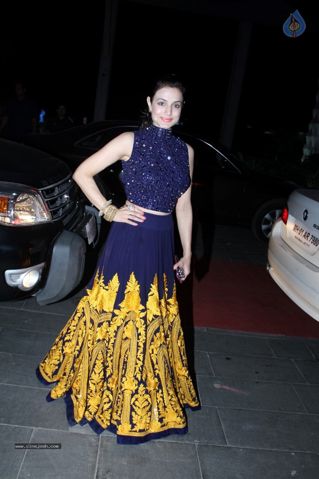 Bhushan Kumar Sister Tulasi Kumar Wedding Reception 01 - 8 / 121 photos