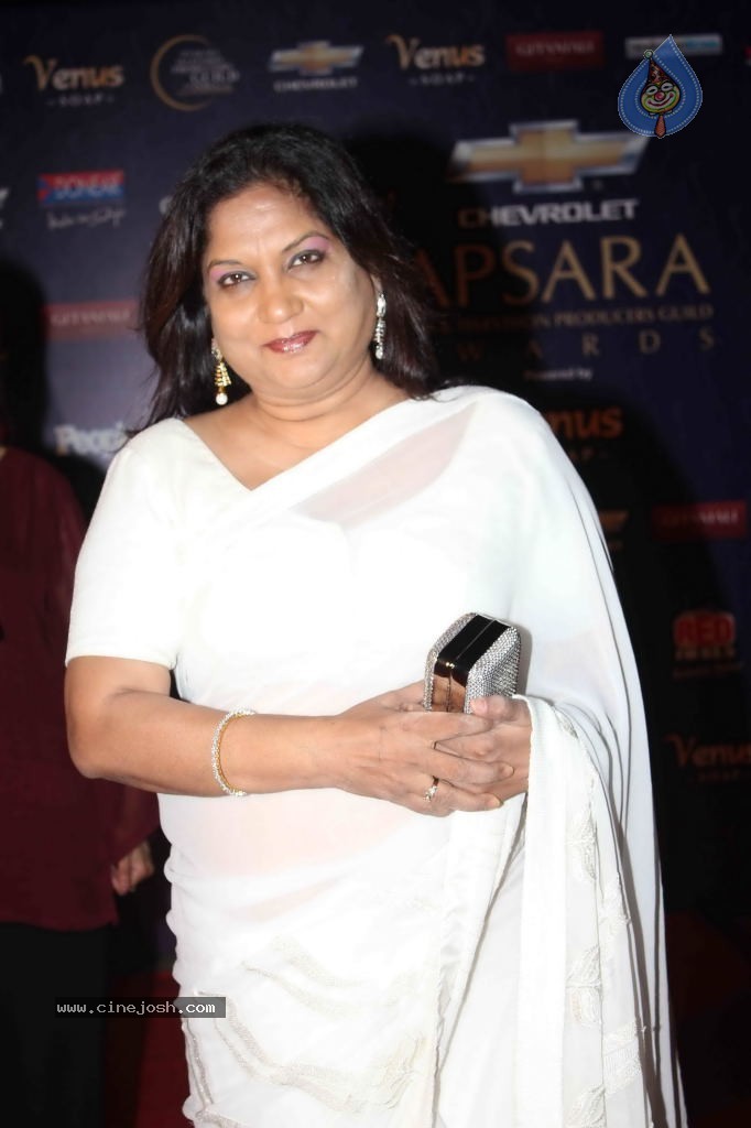 Bolly Celebs at Apsara Awards- 02 - 66 / 104 photos