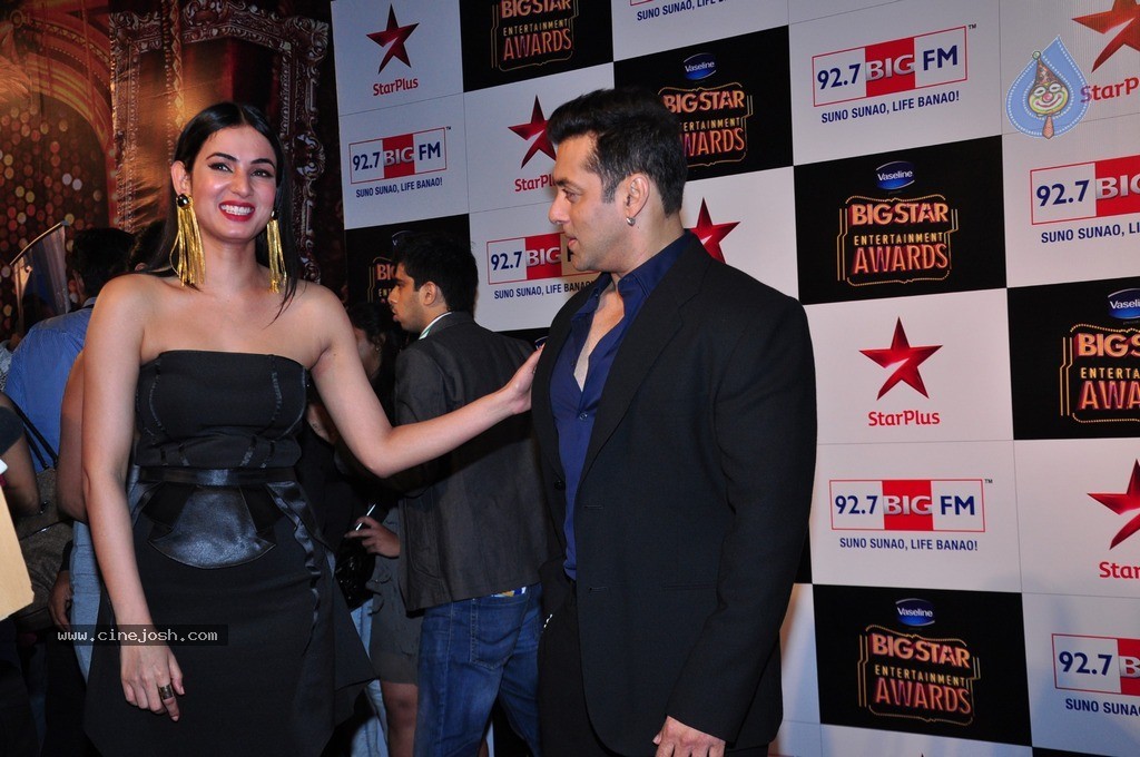 Bolly Celebs at Big Entertainment Awards 2014 - 12 / 110 photos