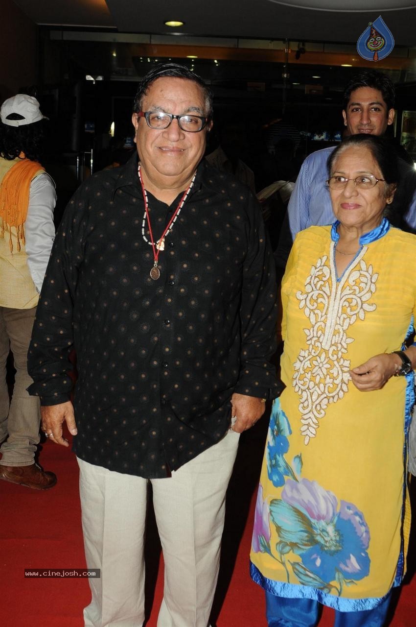 Celebs at Dadasaheb Phalke Film Foundation Awards 2015 - 8 / 113 photos