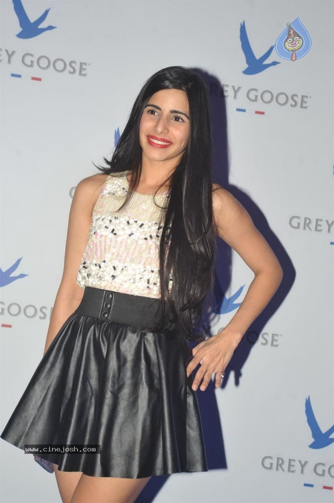 Celebs at Second Edition of Grey Goose Style Du Jour Event - 6 / 113 photos