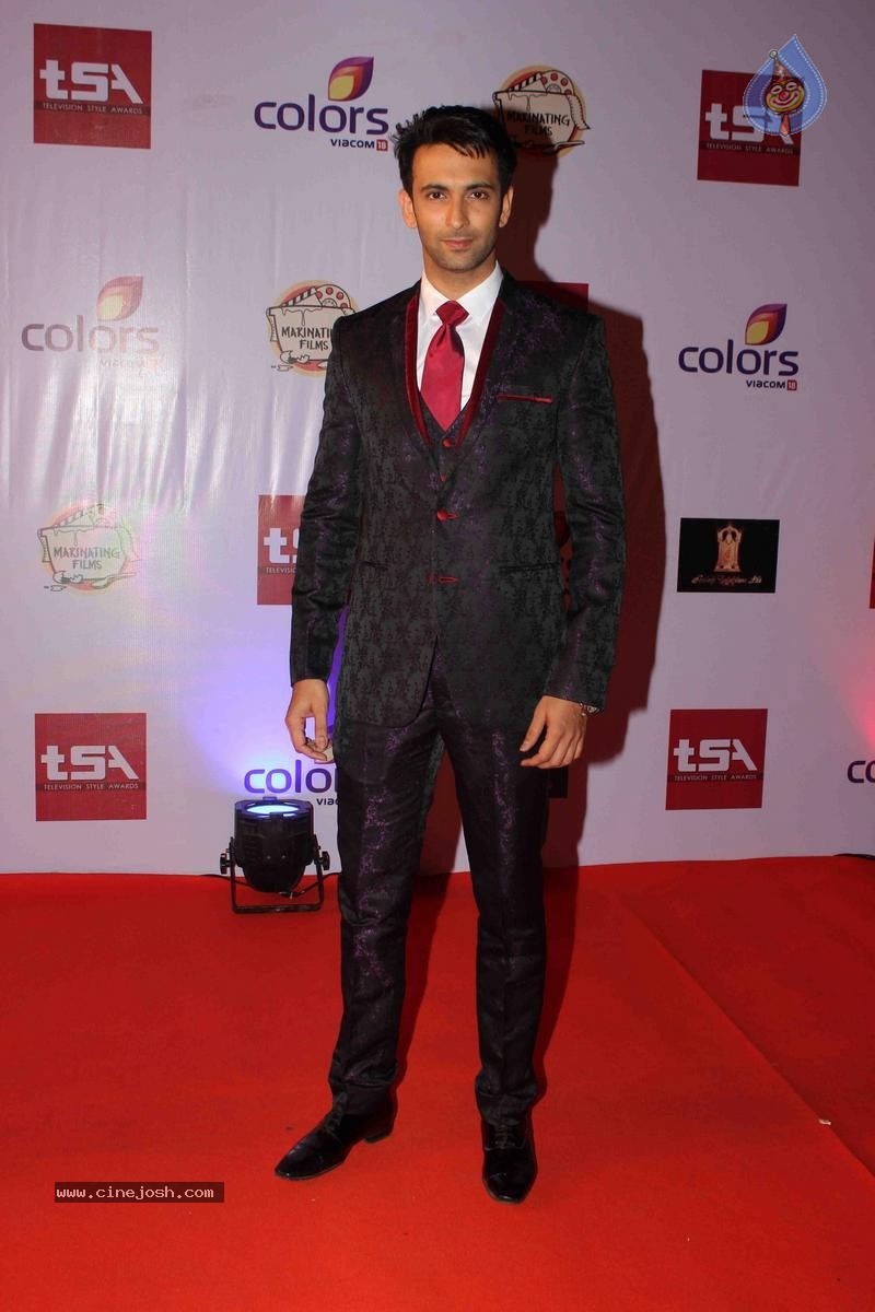 Celebs at Television Style Awards 2015 - 9 / 57 photos