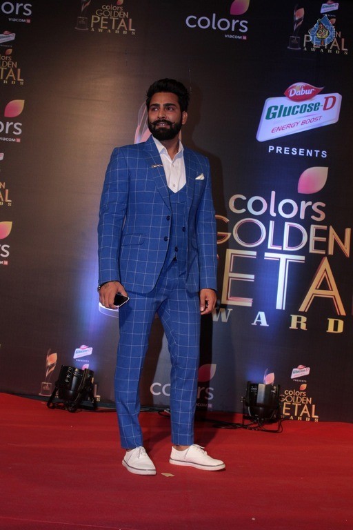 Colors Golden Petal Awards 2017 Red Carpet - 10 / 60 photos