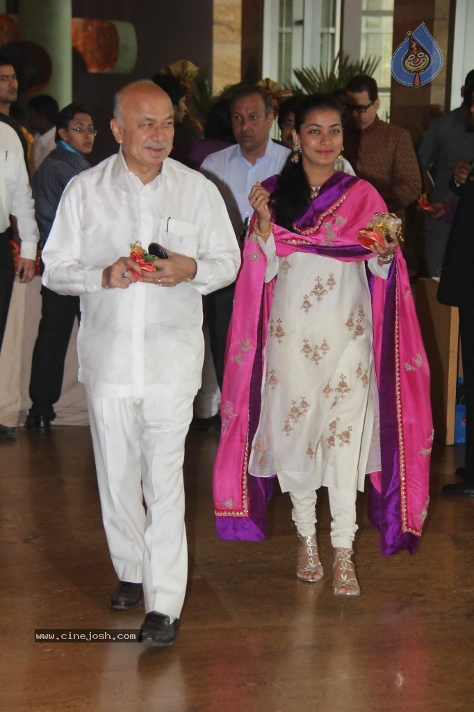 Deepshikha and Dheeraj Deshmukh Wedding Ceremony - 8 / 59 photos