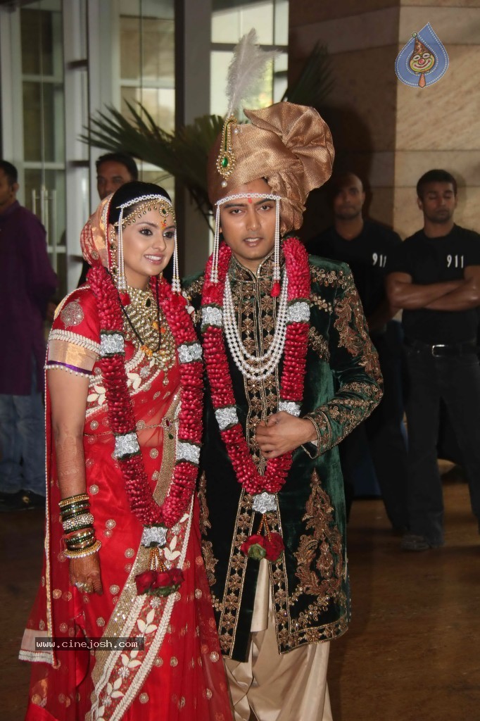 Deepshikha and Dheeraj Deshmukh Wedding Ceremony - 21 / 59 photos