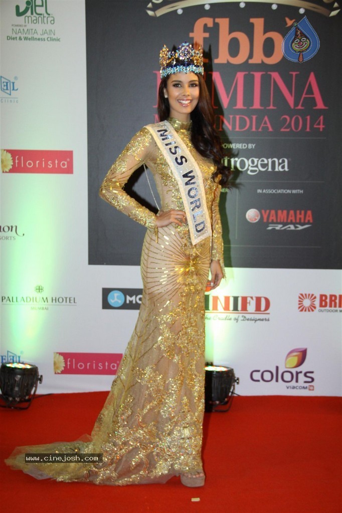 Hot Celebs at Femina Miss India 2014 - 53 / 112 photos