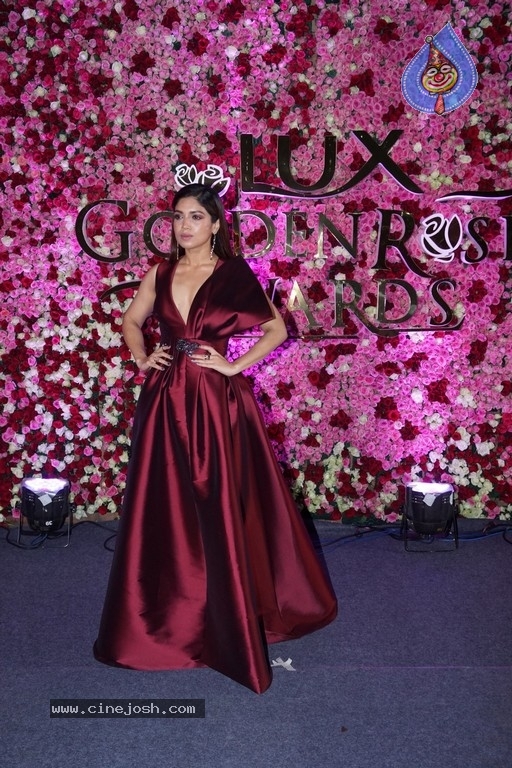 Lux Golden Rose Awards 2017 Red Carpet - 11 / 36 photos