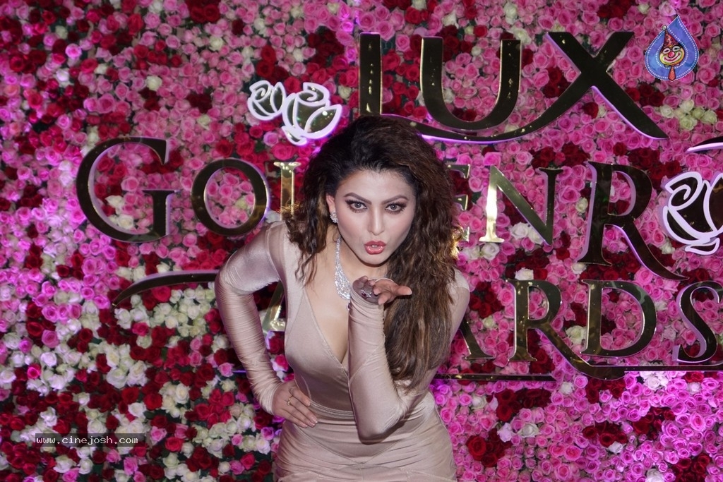Lux Golden Rose Awards 2017 Red Carpet - 14 / 36 photos