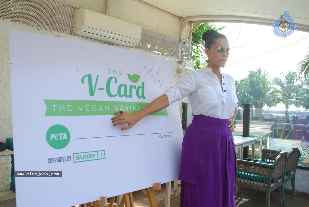 Neha Dhupia Launches PETA V Card - 10 / 35 photos