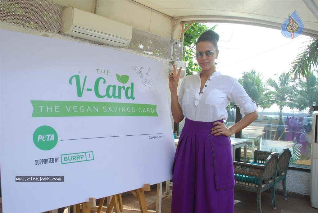 Neha Dhupia Launches PETA V Card - 15 / 35 photos