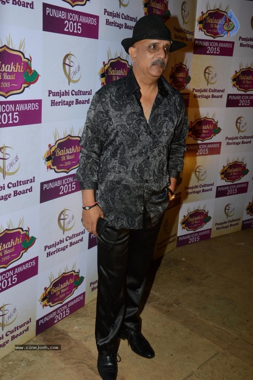 Punjabi Icon Awards at Baisakhi Di Raat 2015 - 2 / 22 photos