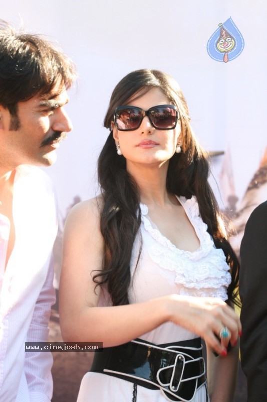 Salman Khan,Zarine Khan At Veer Exhibition Race - 16 / 43 photos