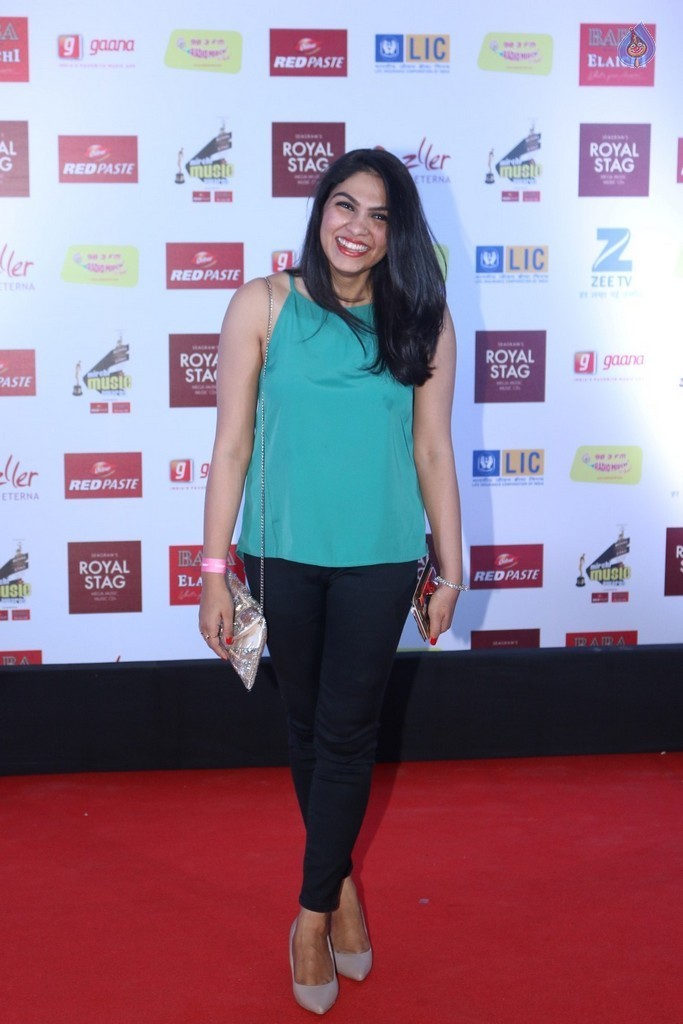The Red Carpet of 9th Mirchi Music Awards - 17 / 105 photos