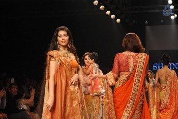 Beti Show by Gitanjali at IIJW 2015 - 31 of 96