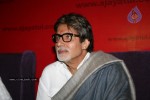Big B, Raj Thackeray at a website launch. - 8 of 29