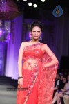 Bolly Celebs at Aamby Valley India Bridal Fashion Week - 20 of 54