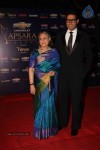 Bolly Celebs at Apsara Awards- 02 - 39 of 104
