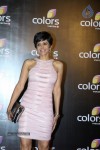 Bolly Celebs at IAA Awards n COLORS Channel Party - 28 of 70