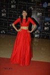 Bolly Celebs at MTV Bollyland Event - 33 of 60