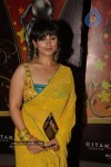 Bolly Celebs at The Global Indian Film and TV Honours 2011 - 88 of 92