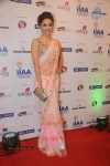 Bolly Celebs at Yes Bank Presents IIAA 2014 - 25 of 135