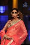 Bolly Celebs Walks the Ramp at AVIBFW- 02 - 76 of 115