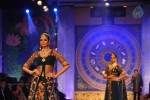 bolly-celebs-walks-the-ramp-at-iijw-2014-grand-finale