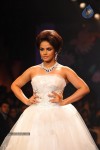 bolly-celebs-walks-the-ramp-at-iijw-2014-grand-finale