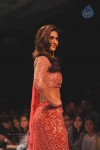 Bolly Celebs Walks the Ramp at LFW 2014 - 3 of 78