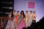Bolly Celebs Walks the Ramp at LFW 2014 - 35 of 78