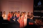 Bolly Celebs Walks the Ramp at LFW 2014 - 37 of 78
