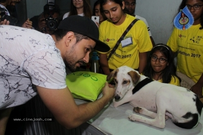 Bollywood Celebrities At Pet Adoptathon 2017 - 1 of 12