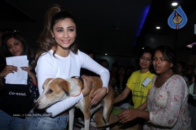 Bollywood Celebrities At Pet Adoptathon 2017 - 8 of 12