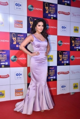 Bollywood Celebrities at Zee Cine Awards 2019 - 12 of 25