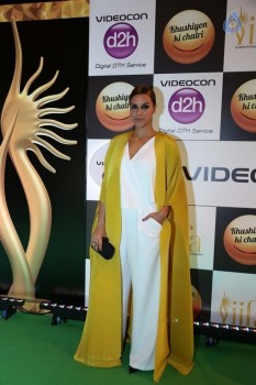 Celebrities at 17th Nexa IIFA Awards - 75 of 81