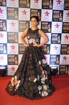 Celebrities at 22nd Annual Star Screen Awards - 52 of 82
