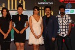 Celebrities at IIFA 2012 Press Meet  - 10 of 55