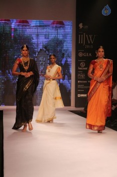 Celebrities at IIJW 2015 Show - 39 of 102