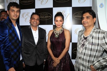 Celebrities at Razwada Jewels Store Launch - 4 of 37
