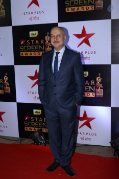 Celebrities at Star Screen Awards 2016 Event 1 - 18 of 71