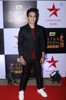 Celebrities at Star Screen Awards 2016 Event 1 - 19 of 71