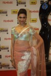 Celebs at 57th Idea Filmfare Awards 2011 - 15 of 137