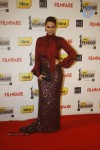 celebs-at-57th-idea-filmfare-awards-2011