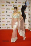 celebs-at-57th-idea-filmfare-awards-2011