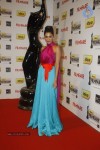 celebs-at-57th-idea-filmfare-awards-2011