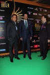 Celebs at IIFA Awards Green Carpet  - 15 of 64