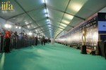 Celebs at IIFA Awards Green Carpet  - 51 of 64