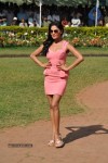 Celebs at The CN Wadia Horse Race Gold Cup - 1 of 26